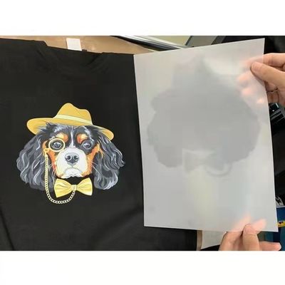 Película de impresión por inyección de tinta digital de tipo A4 A3 PET DTF para L1800 XP600 3880 3800