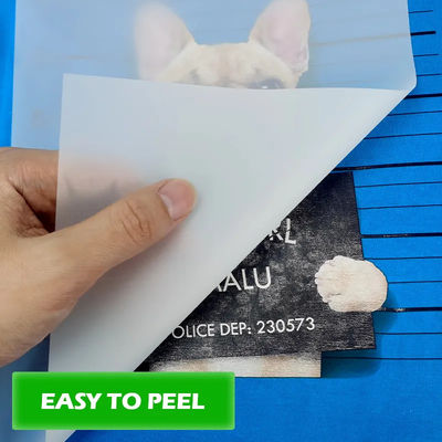 Impresión de tinta blanca mate de 75micrones con película DTF para mascotas peeling caliente 30cm 60cm directamente a la película para impresión de prendas de vestir