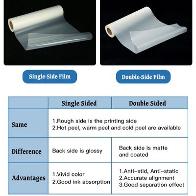 Película para mascotas DTF de doble lado único 30CM 33CM 60CM 60CM*100M Transferencia de calor de rollo 75Micron Peeling frío caliente