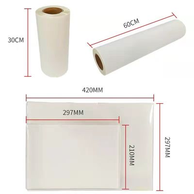 Película DTF para impresión de tinta blanca de exfoliación en caliente doble mate 30cm*100m exfoliación instantánea