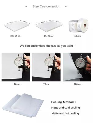 Película de impresión offset de silicona de 100 micrómetros de tamaño 50*70 cm de PET para la impresión en pantalla