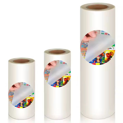 Película de transferencia de calor para prendas de vestir de 60 cm x 100 M DTF PET con compatibilidad con polvo TPU